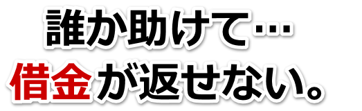 不安で寝られない。借金が返せない。碧南市で無料相談を弁護士や司法書士にして借金返済